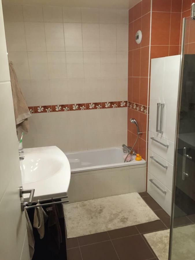 Appartement Des Trois Frontieres Apach Екстер'єр фото